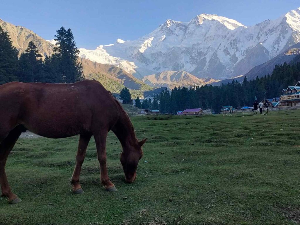 Fairy Meadows Nanga Parbat