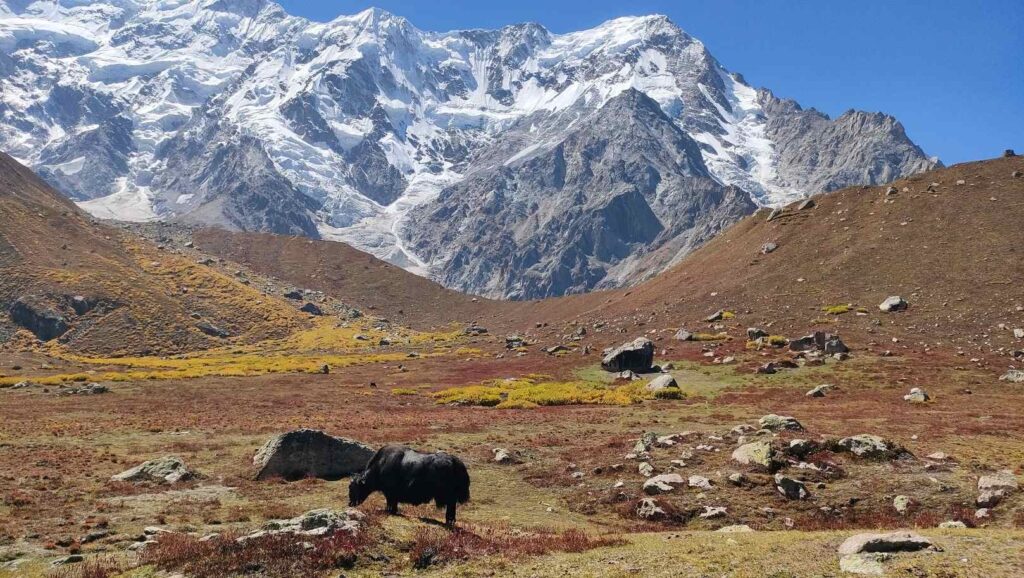 Nanga Parbat alaptábor