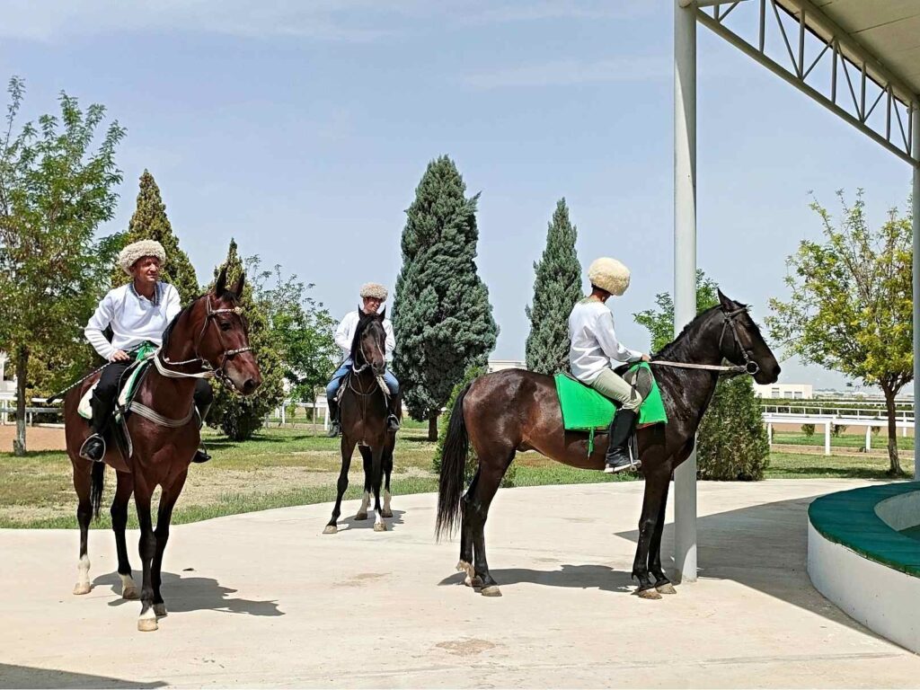 Akhal teke lovak Türkmenisztan