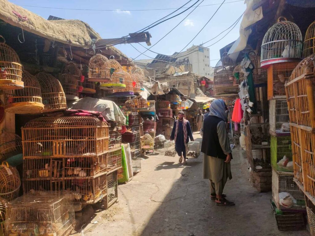 Kabul: madárpiac